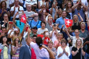 费德勒重要时刻重要助攻，德国队带队取胜！-模拟器试玩