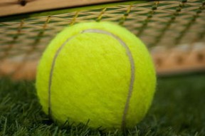 勇士观众热烈欢呼！科维托娃迎来十赛季出色发挥再创辉煌时刻-APP下载